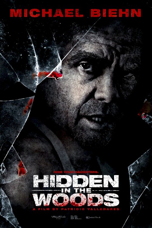Hidden in the Woods