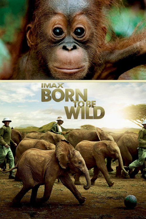 Born to Be Wild Born to Be Wild