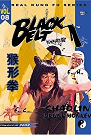 The Shaolin Chief Cook The Shaolin Chief Cook