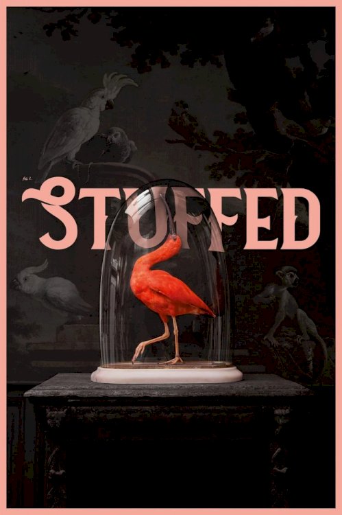 Stuffed Stuffed