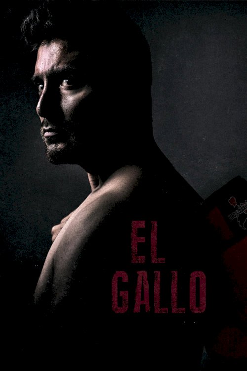 El Gallo El Gallo