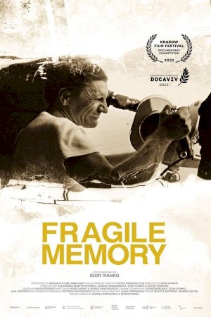 Fragile Memory Fragile Memory