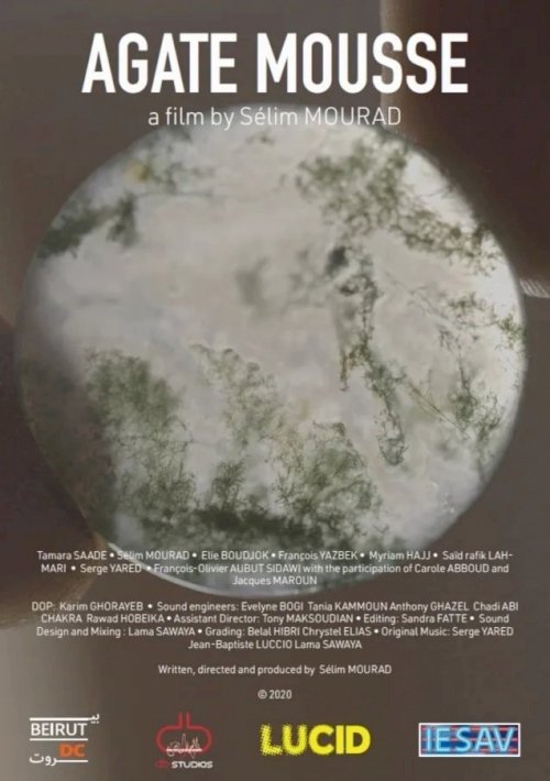 Moss Agate Moss Agate