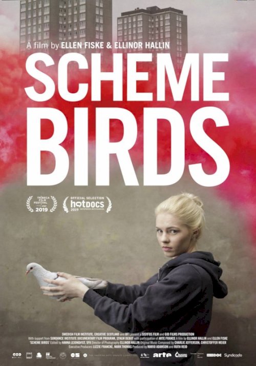 Scheme Birds Scheme Birds
