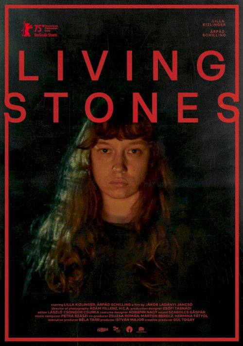 Living Stones