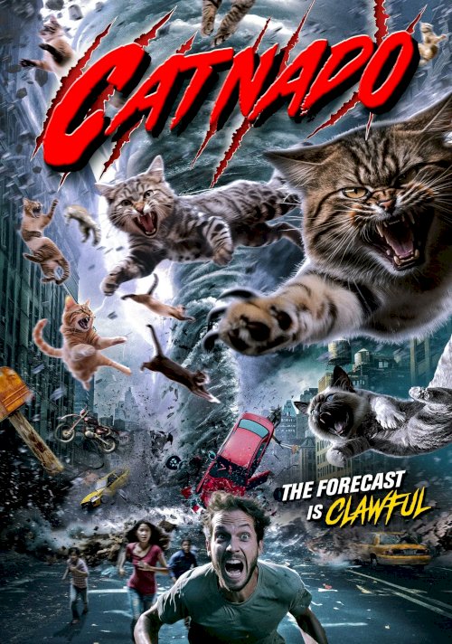 Catnado Catnado