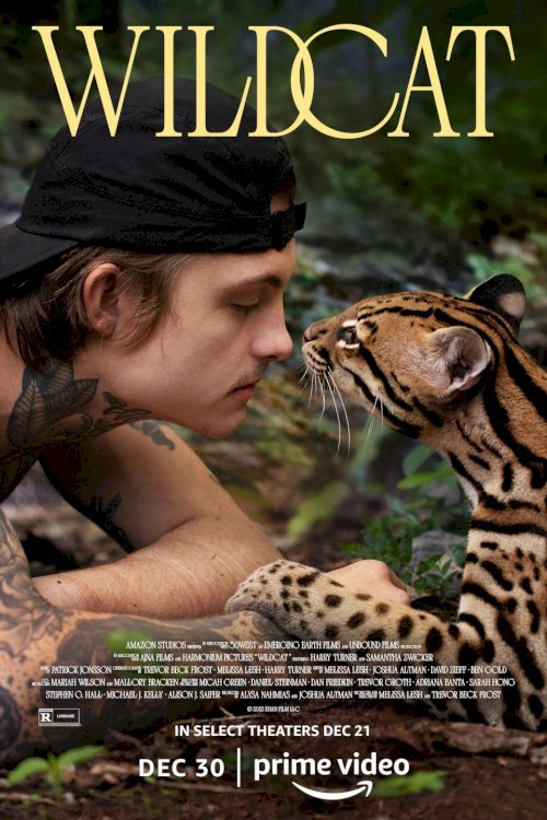 Wildcat