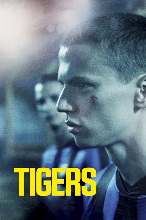 Tigers Tigers