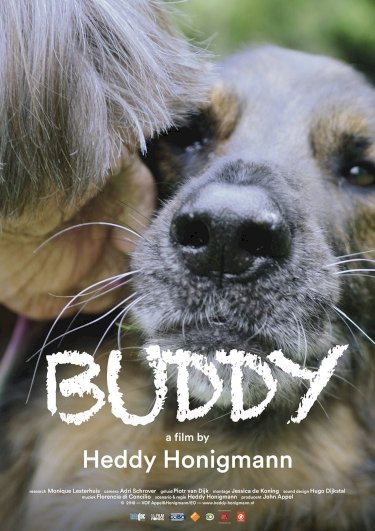 Buddy Buddy