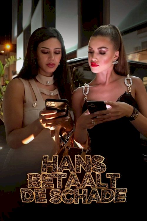 Hans betaalt de schade Hans betaalt de schade
