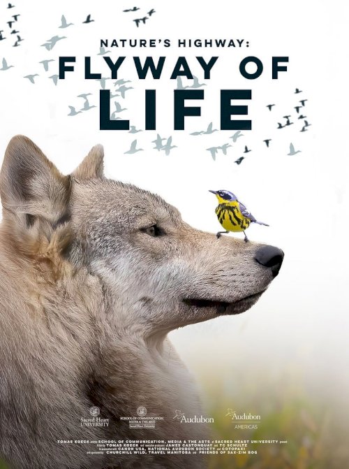 Flyway of Life Flyway of Life