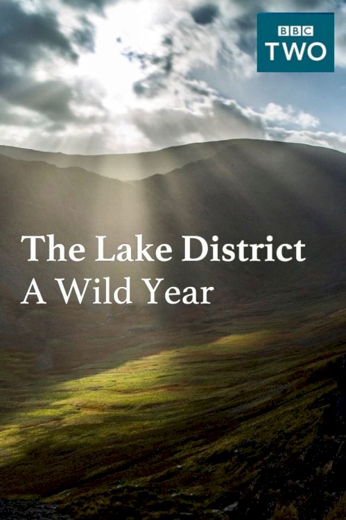 The Lake District: A Wild Year