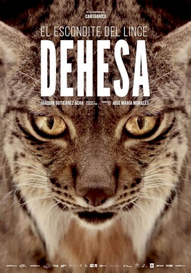 Dehesa: The Forest of the Iberian Lynx Dehesa: The Forest of the Iberian Lynx