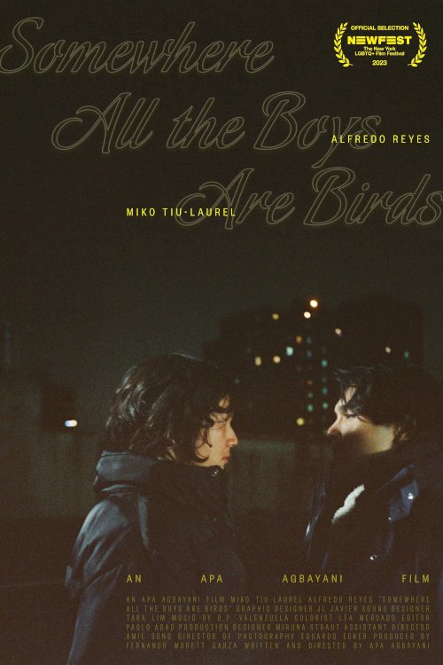 Somewhere all the boys are birds Somewhere all the boys are birds