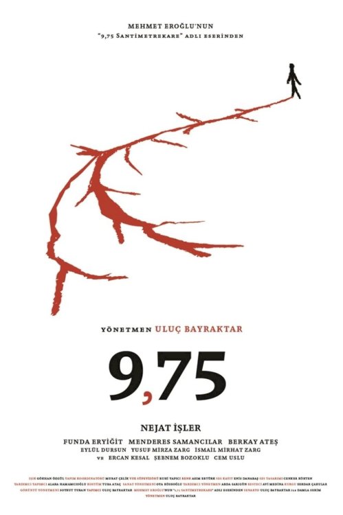 9,75 9,75