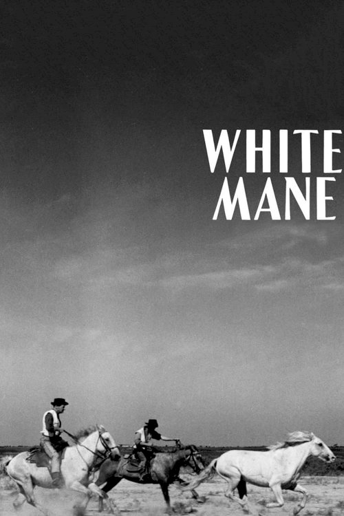 White Mane White Mane