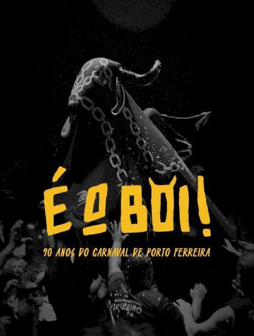 É o Boi É o Boi