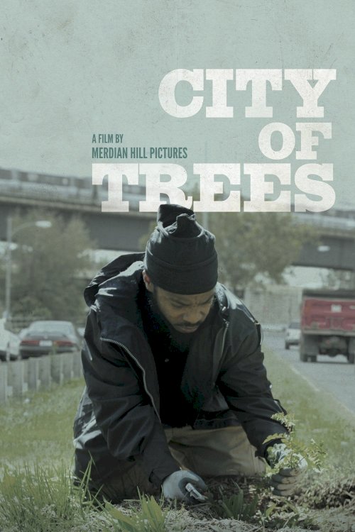 City of Trees City of Trees