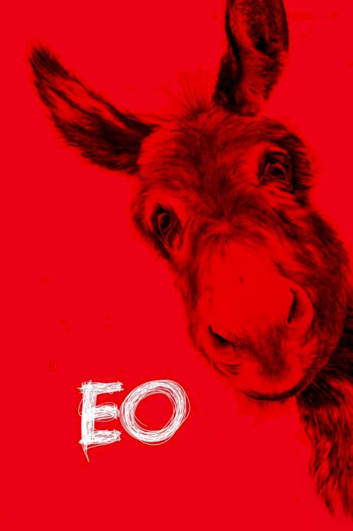 EO EO