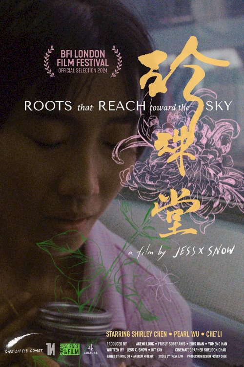 Roots That Reach Toward The Sky Roots That Reach Toward The Sky