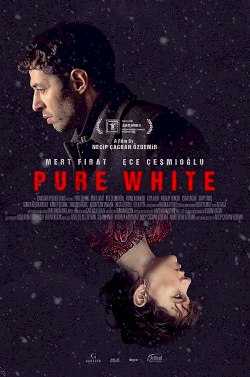 Pure White Pure White
