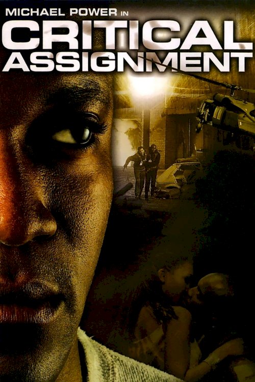 Critical Assignment Critical Assignment