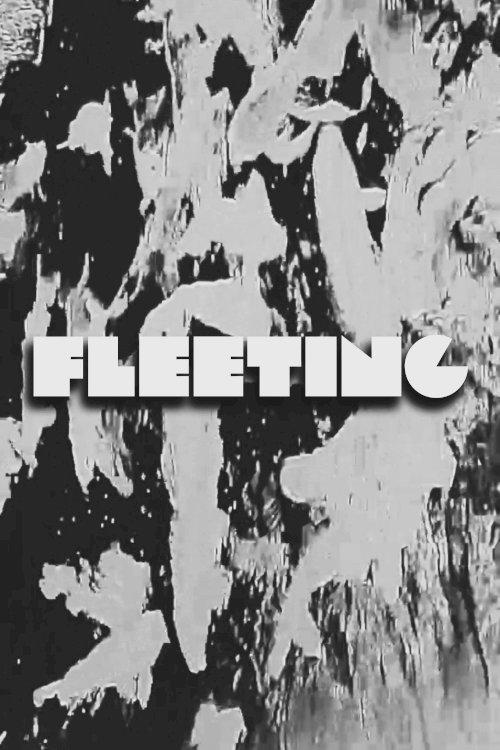 FLEETING FLEETING