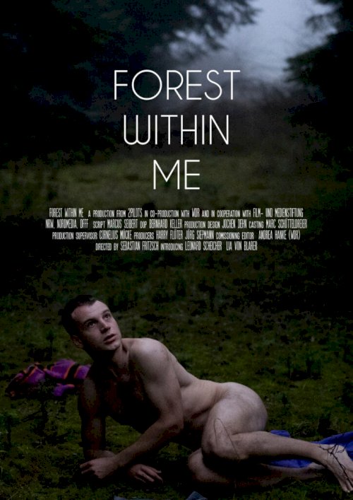 The Forest Within The Forest Within