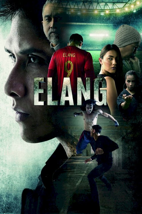 Elang Elang