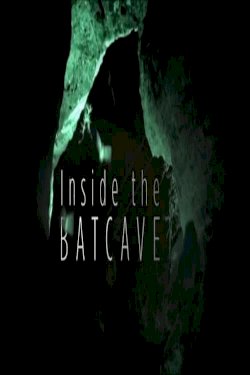 Inside the Bat Cave Inside the Bat Cave