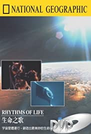 Rhythms of Life Rhythms of Life