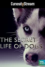 The Secret Life of Dogs The Secret Life of Dogs
