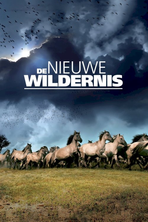 The New Wilderness The New Wilderness
