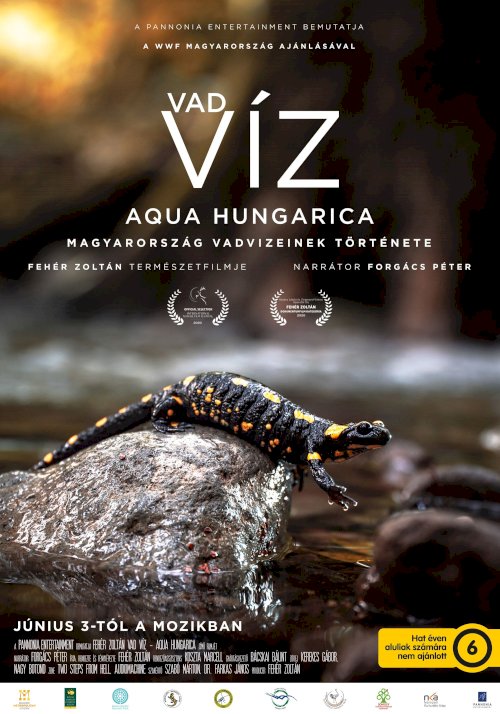 Vad víz – Aqua Hungarica Vad víz – Aqua Hungarica