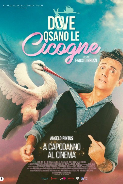 Dove osano le cicogne Dove osano le cicogne