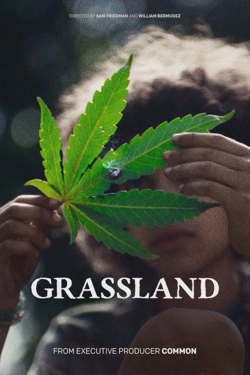 Grassland Grassland