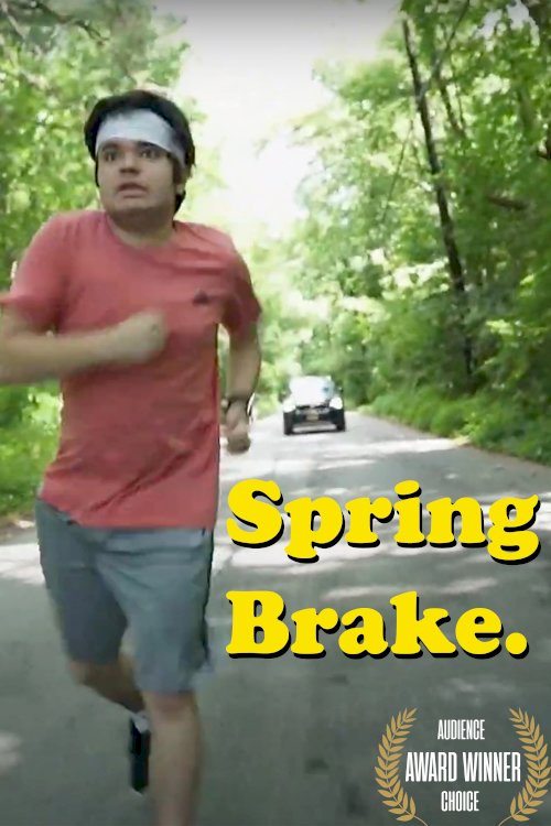Spring Brake Spring Brake