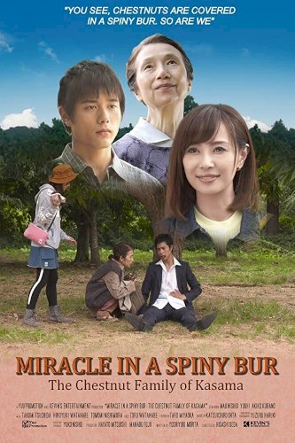 Miracle in Kasama Miracle in Kasama