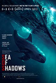 Sea of Shadows Sea of Shadows