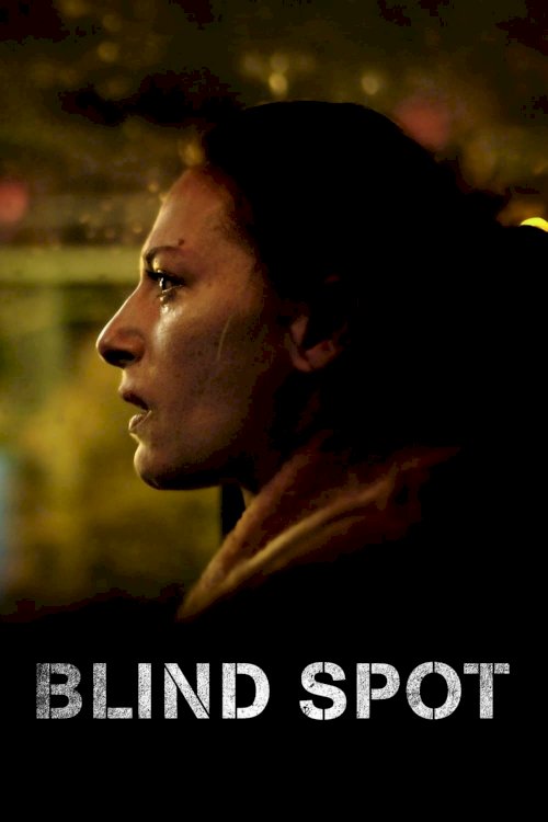 Blind Spot Blind Spot
