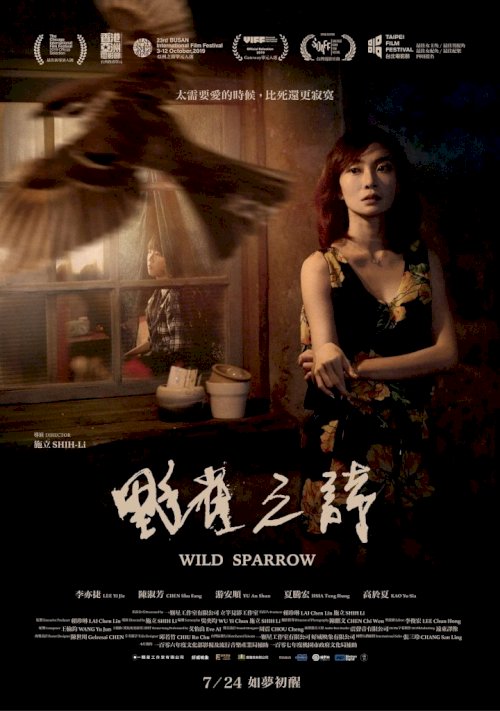 Wild Sparrow Wild Sparrow