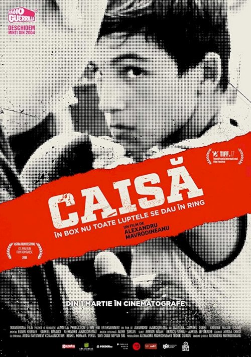 Caisă