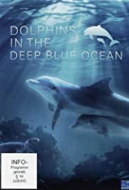 Dolphins in the Deep Blue Ocean Dolphins in the Deep Blue Ocean