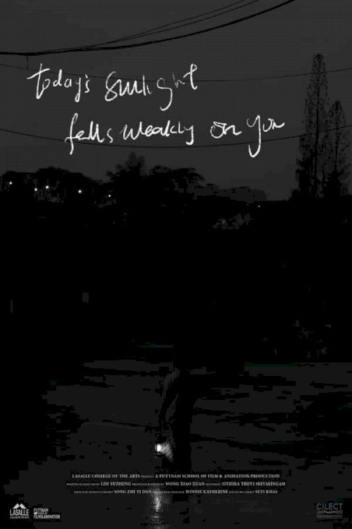 Today's Sunlight Falls Weakly on You Today's Sunlight Falls Weakly on You