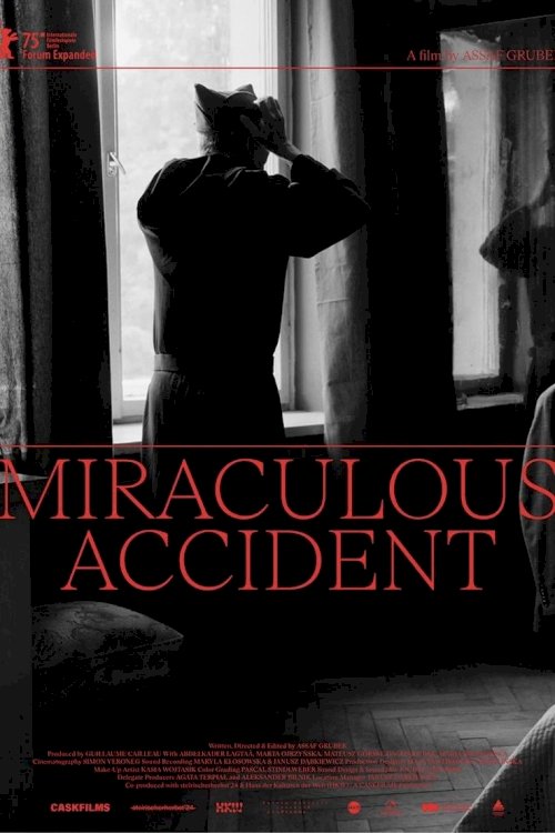 Miraculous Accident Miraculous Accident