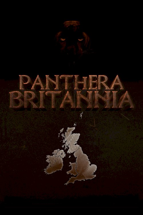 Panthera Britannia Panthera Britannia