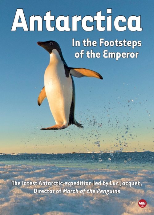 Antarctica, in the footsteps of the Emperor Antarctica, in the footsteps of the Emperor