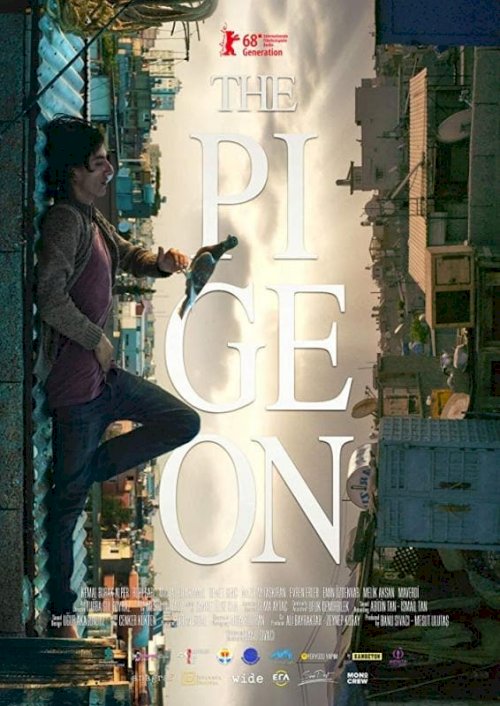 The Pigeon The Pigeon