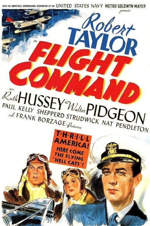Flight Command Flight Command