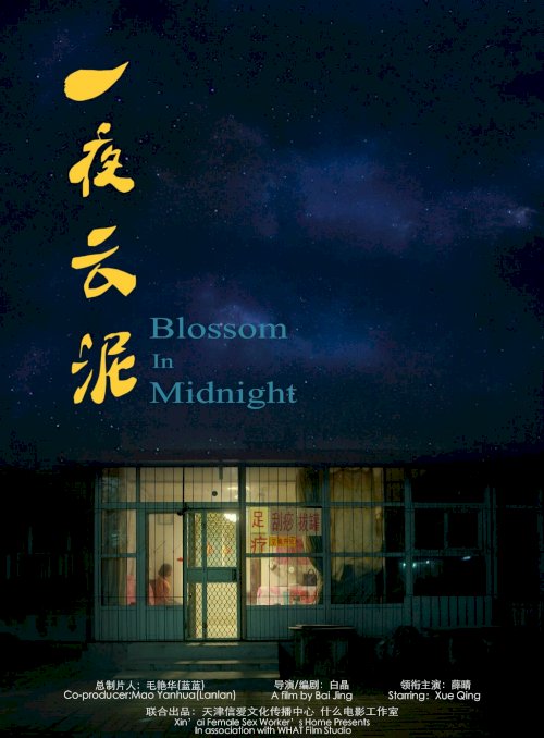 Blossom in Midnight Blossom in Midnight